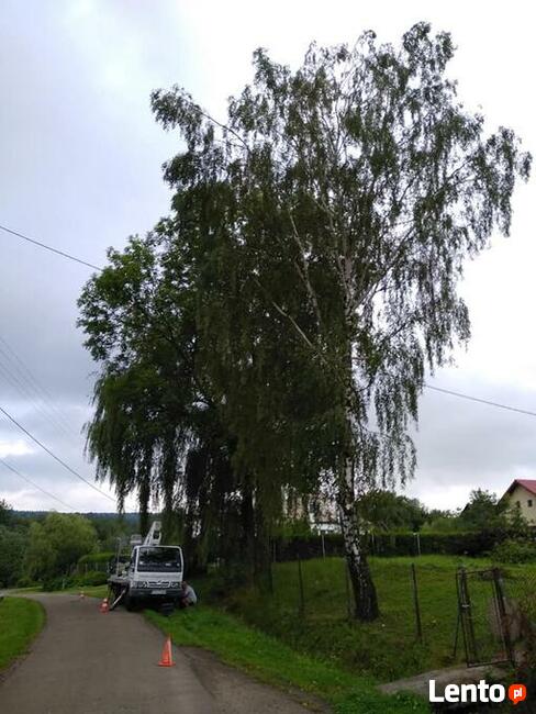 Mycie i czyszczenie , prace na wysokości