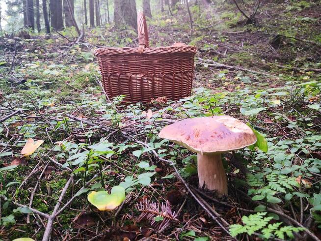 agroturystyka spytkowice~~zapraszamy !!!