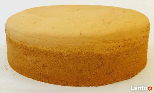 Spody Biszkoptowe Naturalne WYSYŁKA!