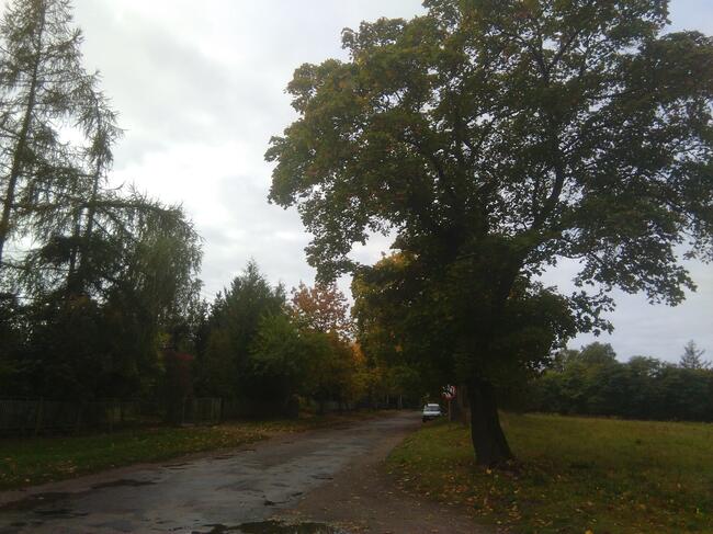 Sprzedam działki Mostkowo gmina Barlinek