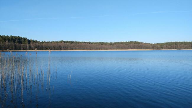 Działka budowlana z linią brzegową jeziora