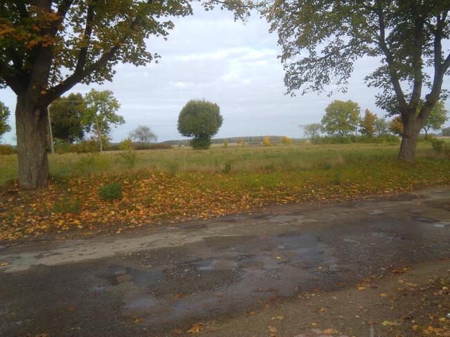 Sprzedam działki Mostkowo gmina Barlinek