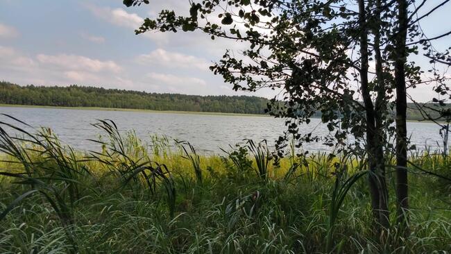 Działka budowlana z linią brzegową jeziora