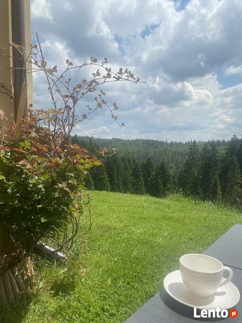 kwatery, noclegi, mieszkanie do wynajęcia