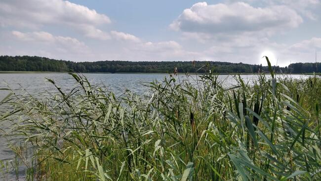 Działka budowlana z linią brzegową jeziora
