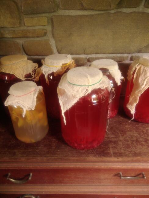 Ocet jabłkowy bio naturalny