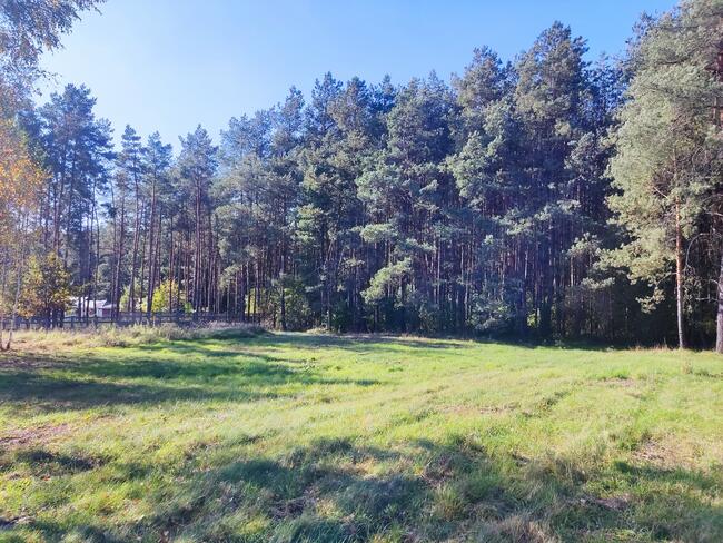 Działka budowlana 1328m2 Grębiszew Warszawa Mińsk Mazowiecki