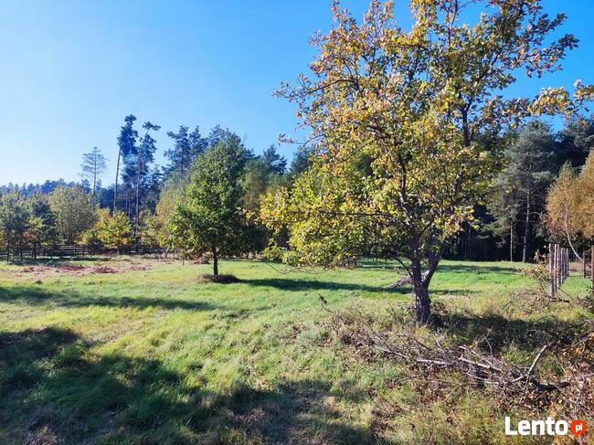 Działki budowlane 800-1330m2 Grębiszew Mińsk Maz. Warszawa