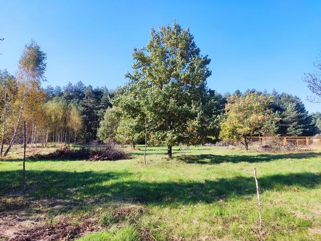 Działka budowlana 1328m2 Grębiszew Warszawa Mińsk Mazowiecki