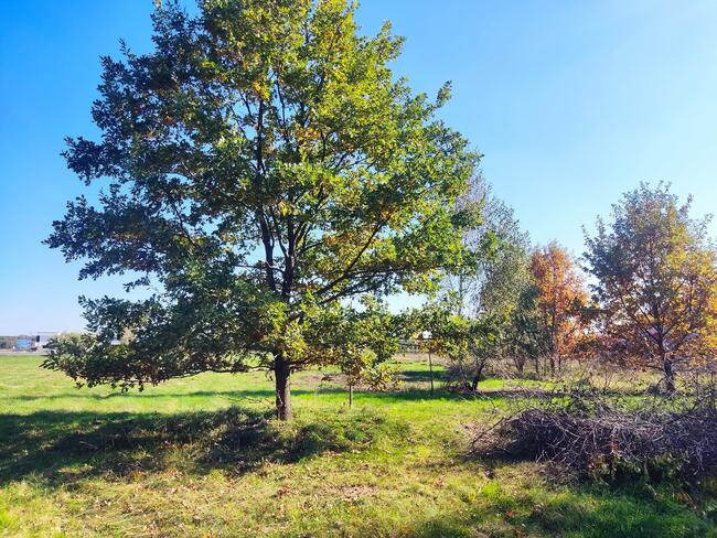 Działka budowlana 801 m2 Grębiszew Mińsk Mazowiecki Warszawa