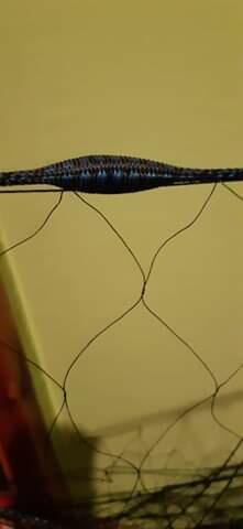 Drgawica drgawice sieci rybackie