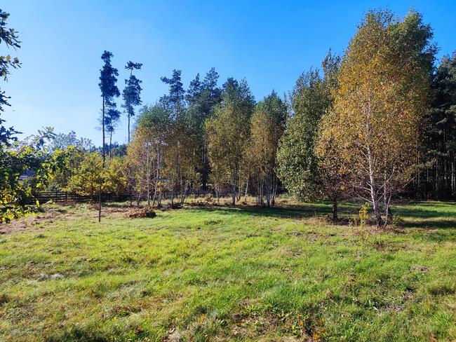 Działka budowlana 801 m2 Grębiszew Mińsk Mazowiecki Warszawa