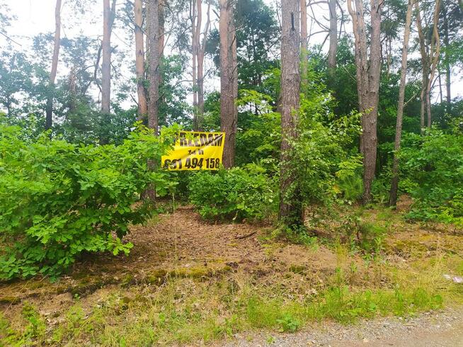 Działka 1.4 ha tylko 21 zł za m2, 40 min od W-wy blisko PKP