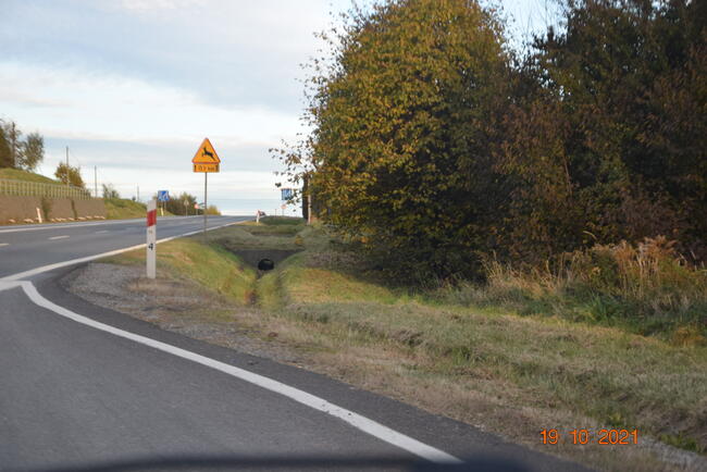 Bodzanów--30 arów -przy drodze -gminnej - pod usługi-hale, m