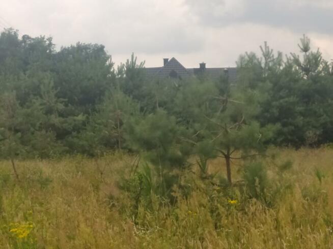 Działka 1.4 ha tylko 21 zł za m2, 40 min od W-wy blisko PKP