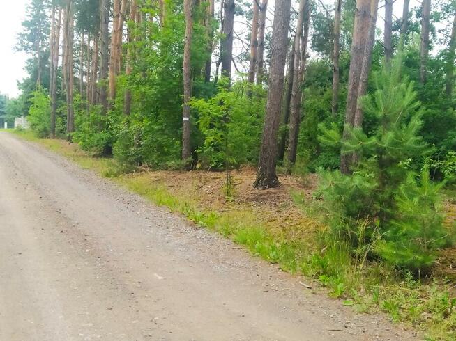 Działka 1.4 ha tylko 21 zł za m2, 40 min od W-wy blisko PKP