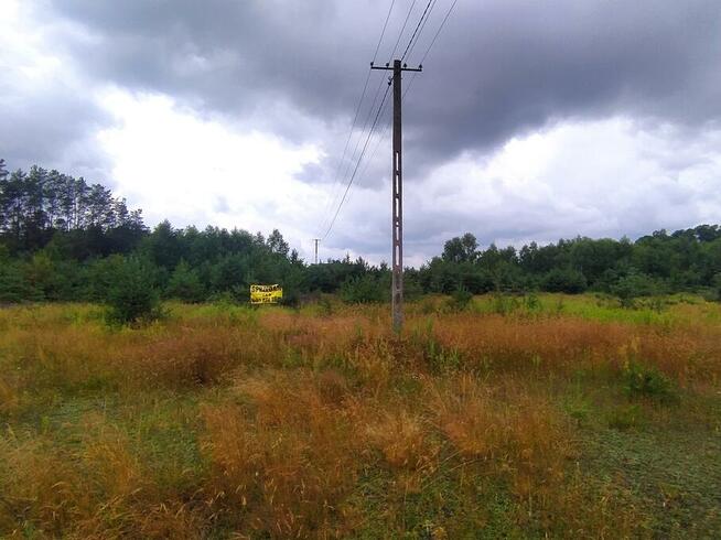 Działka 1.4 ha tylko 21 zł za m2, 40 min od W-wy blisko PKP