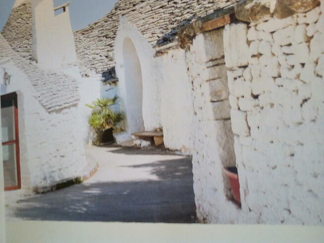 malarz-tapeciarz ,szuka stałych zleceń