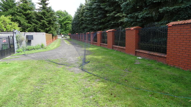 drgawica drygawica włok niewód wonton siatka na ryby rzutka