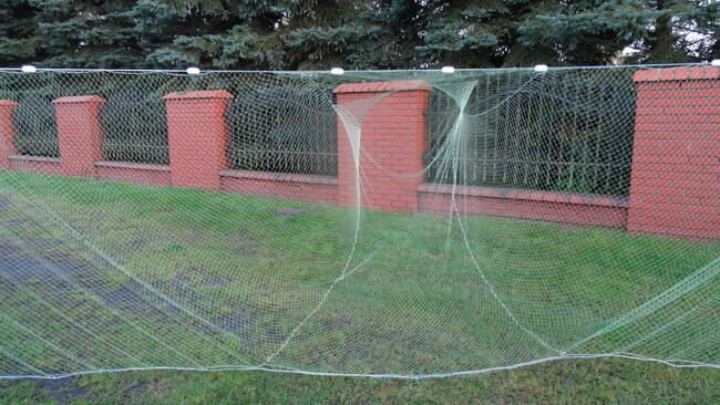 drgawica drygawica włok niewód wonton siatka na ryby rzutka