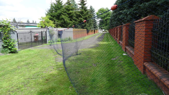 drgawica drygawica włok niewód wonton siatka na ryby rzutka