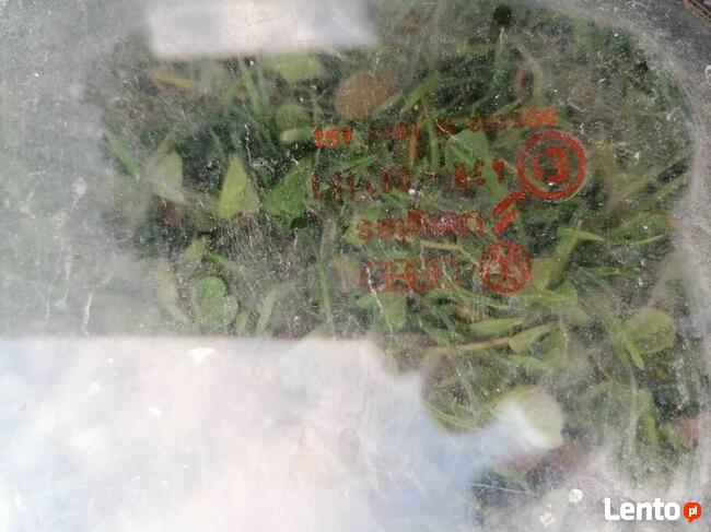 Szyba Szyby VW Golf 2 II