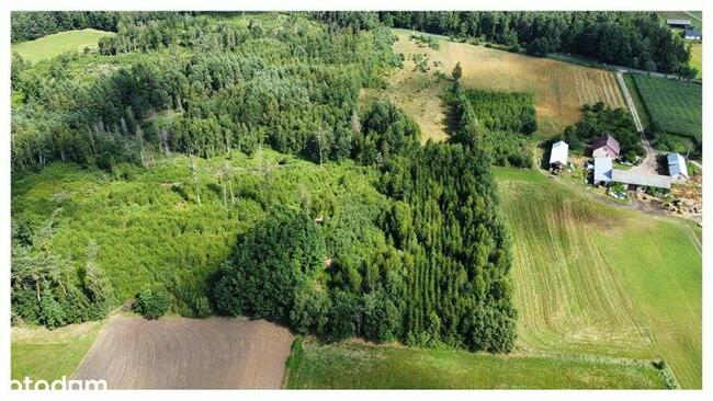 Działka 7391 m kw Kukowo gmina Skępe