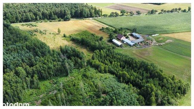 Działka 7391 m kw Kukowo gmina Skępe