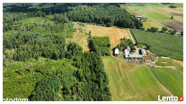 Działka 7391 m kw Kukowo gmina Skępe