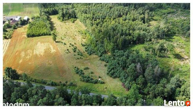 Działka 7391 m kw Kukowo gmina Skępe