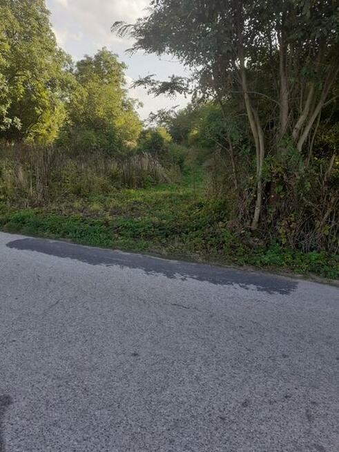 Działka gmina Busko-Zdrój