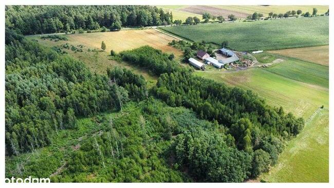 Działka 7391 m kw Kukowo gmina Skępe