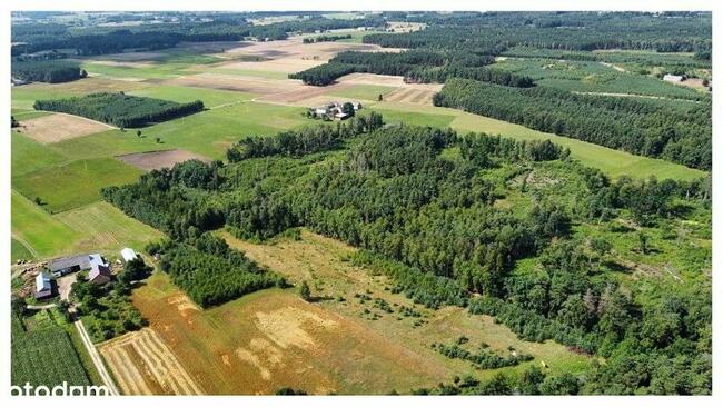 Działka 7391 m kw Kukowo gmina Skępe