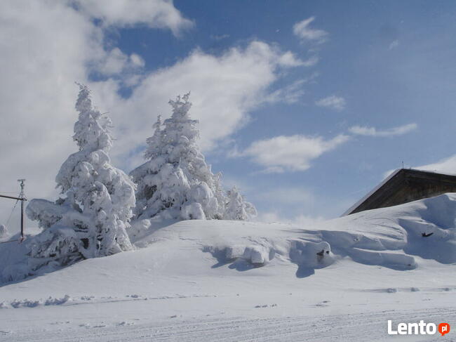Wyjazdy na narty, snowboard po Polsce i Europie