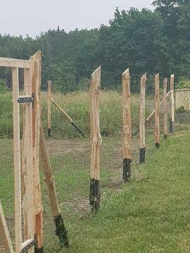 Ogrodzenia budowlane płot tymczasowy siatka leśna