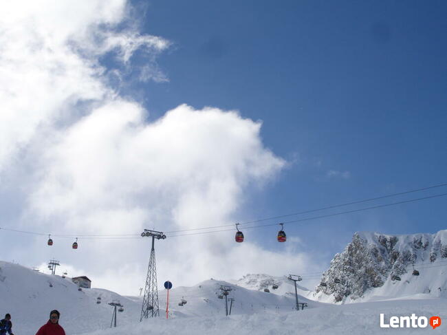 Wyjazdy na narty, snowboard po Polsce i Europie