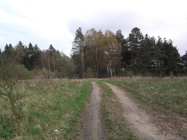 Atrakcyjna duża Działka budowlana z małym własnym parkiem