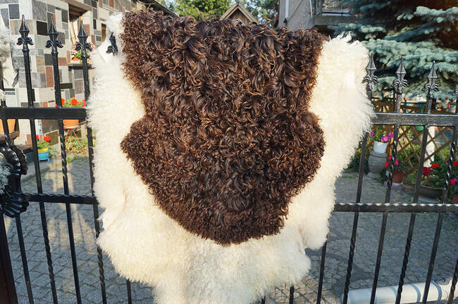 Piękne skóry owcze Szwedzkie, dywany