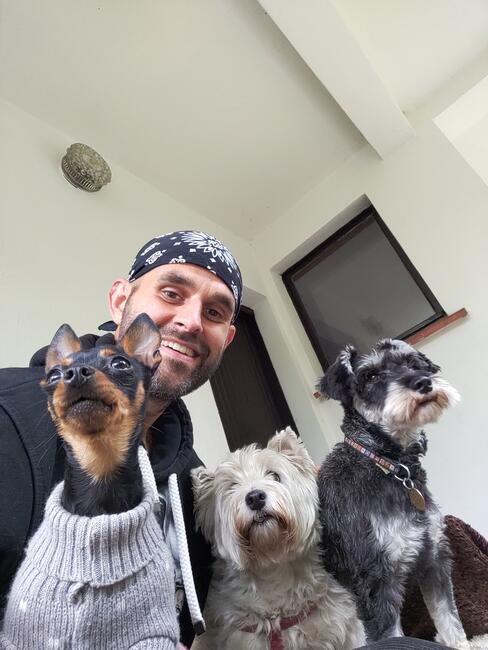 Hotel dla psów TULUNIA