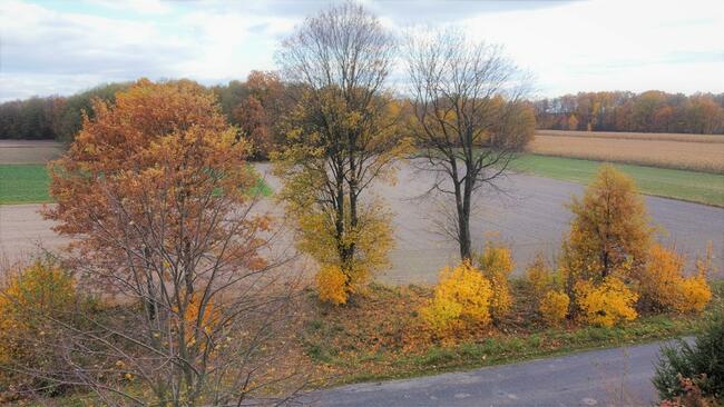 Nietiahy działka budowlana , Gm. Dębowa Kłoda
