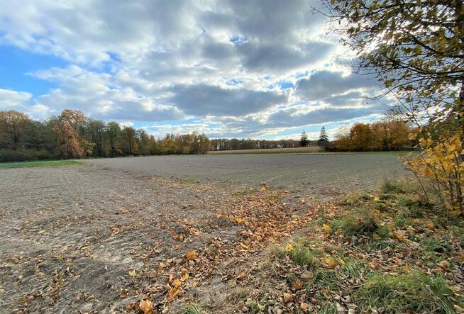 Nietiahy działka budowlana , Gm. Dębowa Kłoda