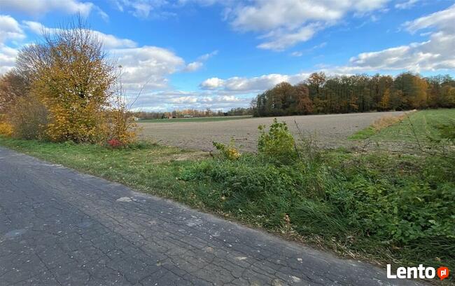 Nietiahy działka budowlana , Gm. Dębowa Kłoda