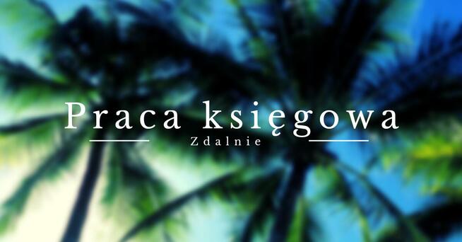 Księgowa zdalnie