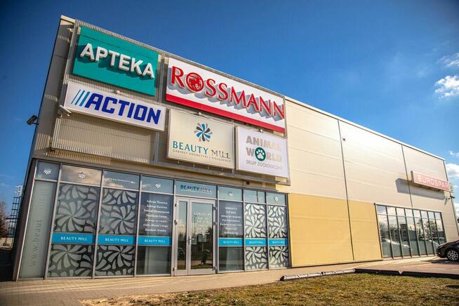 POZNAŃ, ul. Druskienicka 12, lokale do wynajęcia