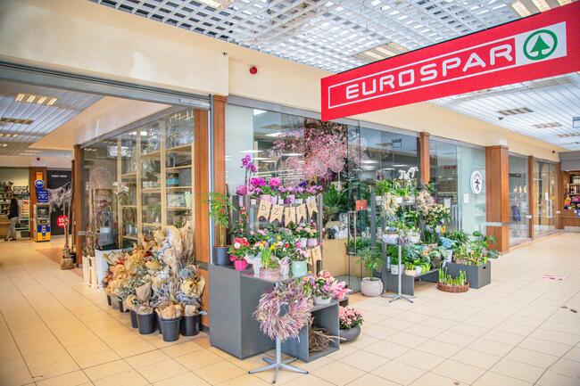 POZNAŃ, ul. Druskienicka 12, lokale do wynajęcia