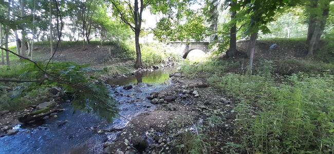 Działka rekreacyjna 0,37ha z linią brzegową i starodrzewiem