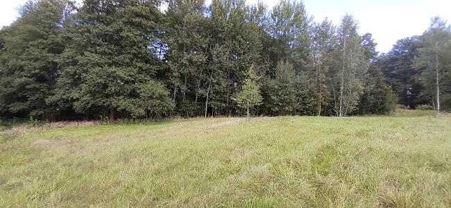 Działka rekreacyjna 0,37ha z linią brzegową i starodrzewiem