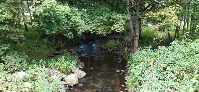 Działka rekreacyjna 0,37ha z linią brzegową i starodrzewiem