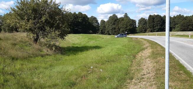 Działka rekreacyjna/inwestycyjna 0,38ha ze starodrzewiem