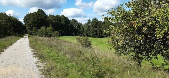 Działka rekreacyjna/inwestycyjna 0,38ha ze starodrzewiem